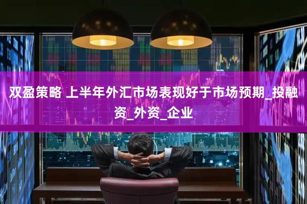 双盈策略 上半年外汇市场表现好于市场预期_投融资_外资_企业