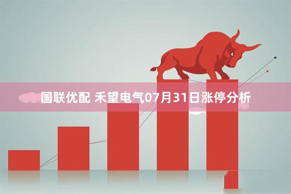 国联优配 禾望电气07月31日涨停分析
